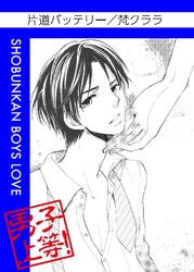 片道バッテリー