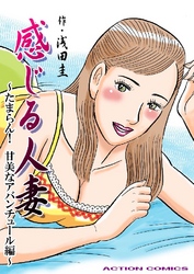 感じる人妻 ～たまらん！ 甘美なアバンチュール編～