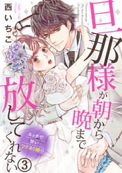 旦那様が朝から晩まで放してくれない～エッチで甘いワケあり婚！？ 3巻