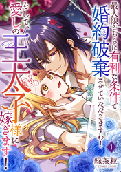 【期間限定　無料お試し版】最大限こちらに有利な条件で婚約破棄させていただきますわ！そして、愛しの王太子様に嫁ぎます！