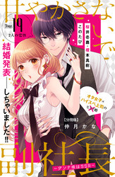 甘やかさないで副社長　～ダンナ様はＳＳＲ～　分冊版（１９）