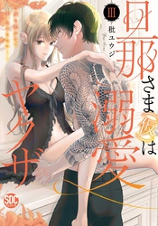 旦那さま(仮)は溺愛ヤクザ 何度も突かれて声、止まらない…！【コミックス版】【コミックス版限定特典付き】 3巻
