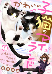 かわいい子猫のアイランド　～漫画家が保護猫を引き取った話～　ベツフレプチ（１）