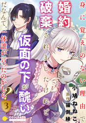 身に覚えのない理由で婚約破棄されましたけれど、仮面の下が醜いだなんて、一体誰が言ったのかしら？（3）