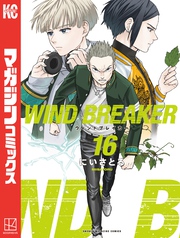 ＷＩＮＤ　ＢＲＥＡＫＥＲ（１６）