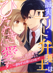 誠実エリート弁護士はひたむきに愛す～君をずっと待っていた～