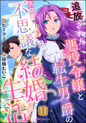 追放された悪役令嬢と転生男爵のスローで不思議な結婚生活 コミック版（分冊版）　【第11話】