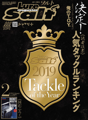 ルアーマガジンソルト2020年2月号