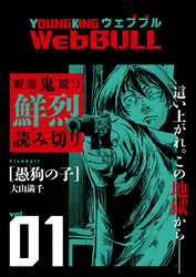 Web BULL1号