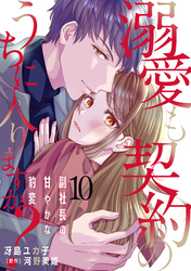 溺愛も契約のうちに入りますか？～副社長の甘やかな豹変～【分冊版】10話