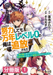 どれだけ努力しても万年レベル０の俺は追放された～神の敵と呼ばれた少年は、社畜女神と出会って最強の力を手に入れる～【分冊版】