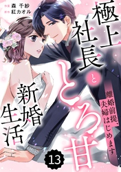 comic Berry’s離婚前提、夫婦はじめます～極上社長ととろ甘新婚生活～13巻