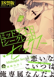 ミッドナイト・シークレット・セックス【極】