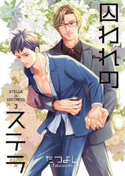 囚われのステラ3