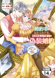 婚約者に忘れられた私、隣国の皇太子殿下と偽装婚約することになりました（※ただし、殿下の本命は私みたいです！？）　分冊版（１４）