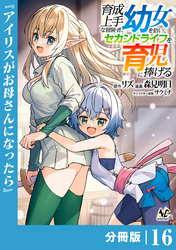 育成上手な冒険者、幼女を拾い、セカンドライフを育児に捧げる【分冊版】(ノヴァコミックス)16