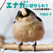 エナガに魅せられて ～小さな命の輝き～