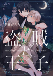 盗賊と王子【単話売】(3)