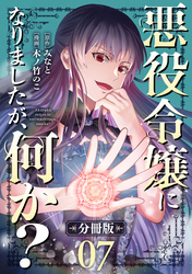 悪役令嬢になりましたが、何か？【分冊版】7
