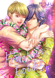 片づけられないものもある3