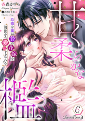 甘く柔らかな檻　冷徹な龍は贄の花嫁を前世から愛しすぎている【分冊版】6話