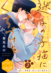 迷子の子猫にくちづけを　分冊版（２）