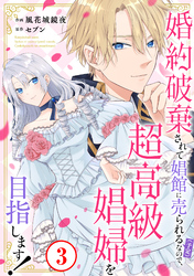 婚約破棄されて娼館に売られる（予定）なので、超高級娼婦を目指します！3