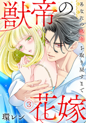 獣帝の花嫁　あなたの記憶を取り戻すまで(3)