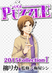 PUZZLE 2015collectionI