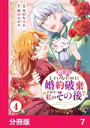 婚約していないのに婚約破棄された私のその後【分冊版】7