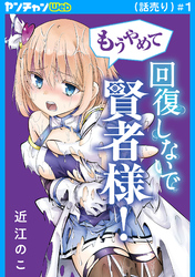 もうやめて回復しないで賢者様！(話売り)