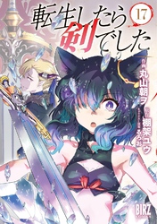 転生したら剣でした (17) 【電子限定おまけ付き】