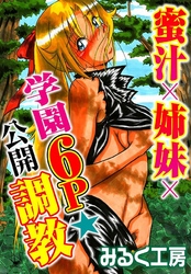 蜜汁×姉妹×学園６Ｐ★公開調教