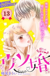 ウソ婚　分冊版（１３）