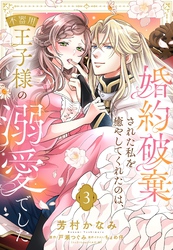 婚約破棄された私を癒やしてくれたのは、不器用王子様の溺愛でした【単話売】 3話