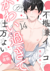 不機嫌イトコがかわい過ぎて仕方ない(14)　side直樹